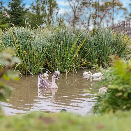 1 Bed In 93264 בית נופש *