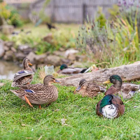 בית נופש 1 Bed In 93264