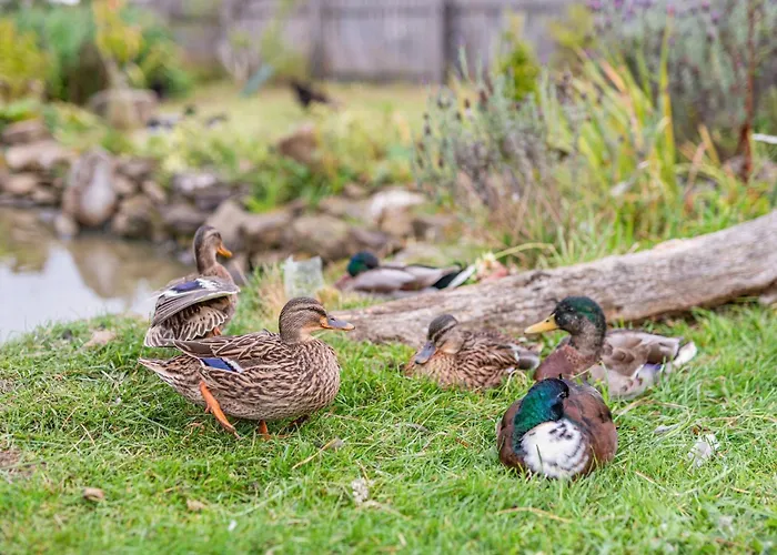 1 Bed In Oc-93264 * Richmond (North Yorkshire)