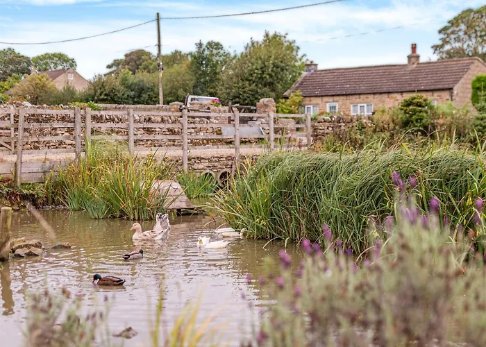 1 Bed In Oc-93264 Richmond (North Yorkshire)