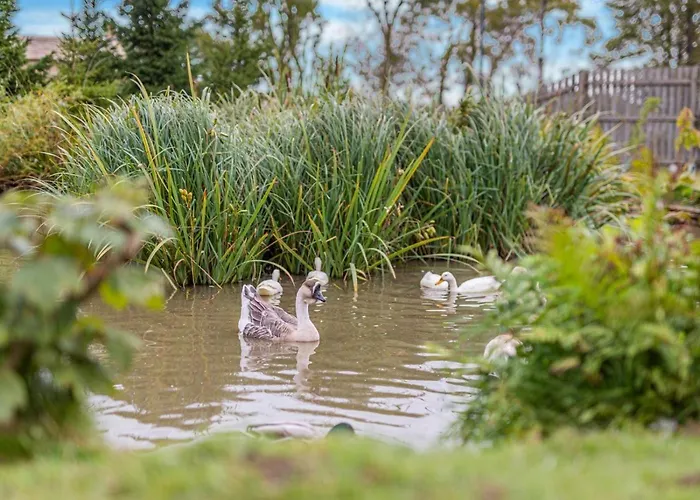 1 Bed In Oc-93264 Richmond (North Yorkshire)