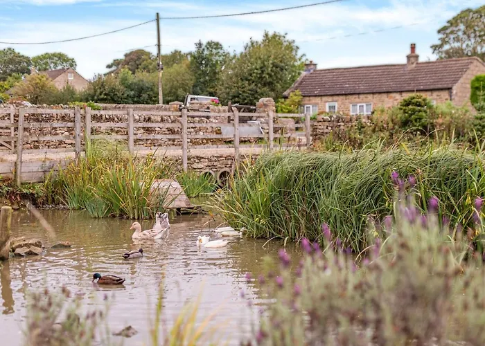 1 Bed In Oc-93264 Richmond (North Yorkshire)